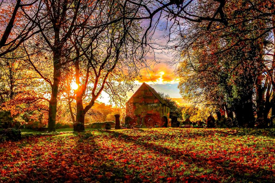 Autumn Glow in Abbey Fields