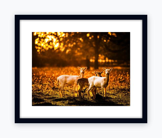 Classic 16x20 Black Frame, Snow White Mount - Classic 16x20 Black Frame, Snow White Mount