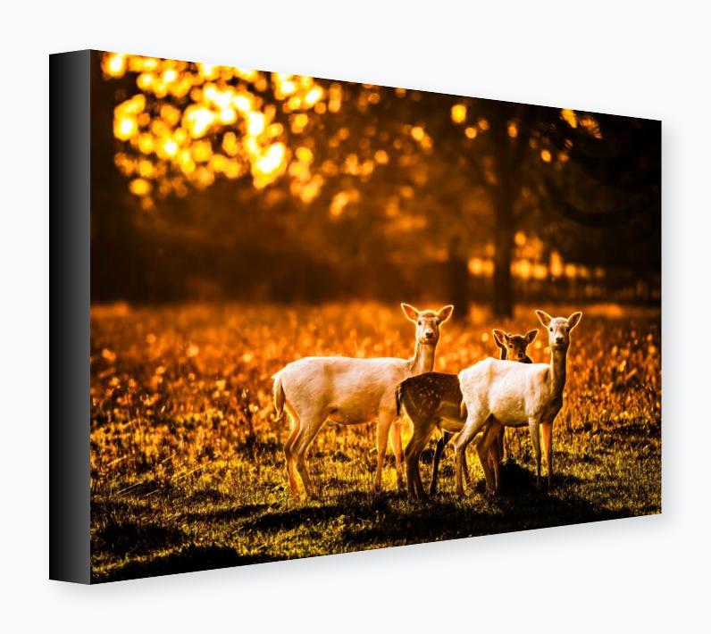 Stretched Canvas 12x16 on 38mm Bar, Black Wrap - Stretched Canvas 12x16 on 38mm Bar, Black Wrap