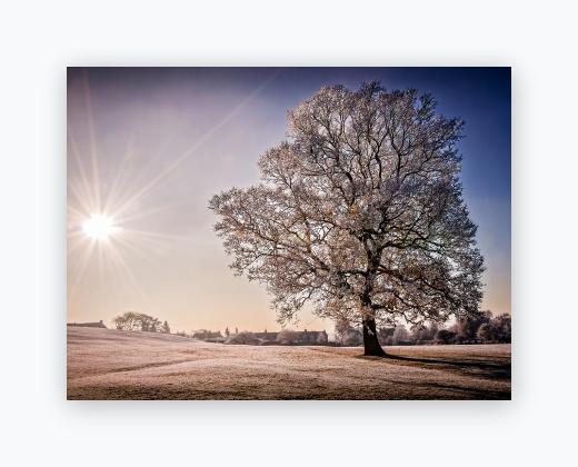 Lustre Print 12x16 - Lustre Print 12x16