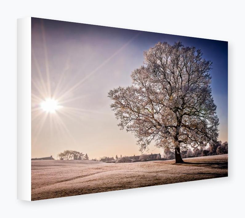 Stretched Canvas 12x16 on 38mm Bar, White Wrap - Stretched Canvas 12x16 on 38mm Bar, White Wrap