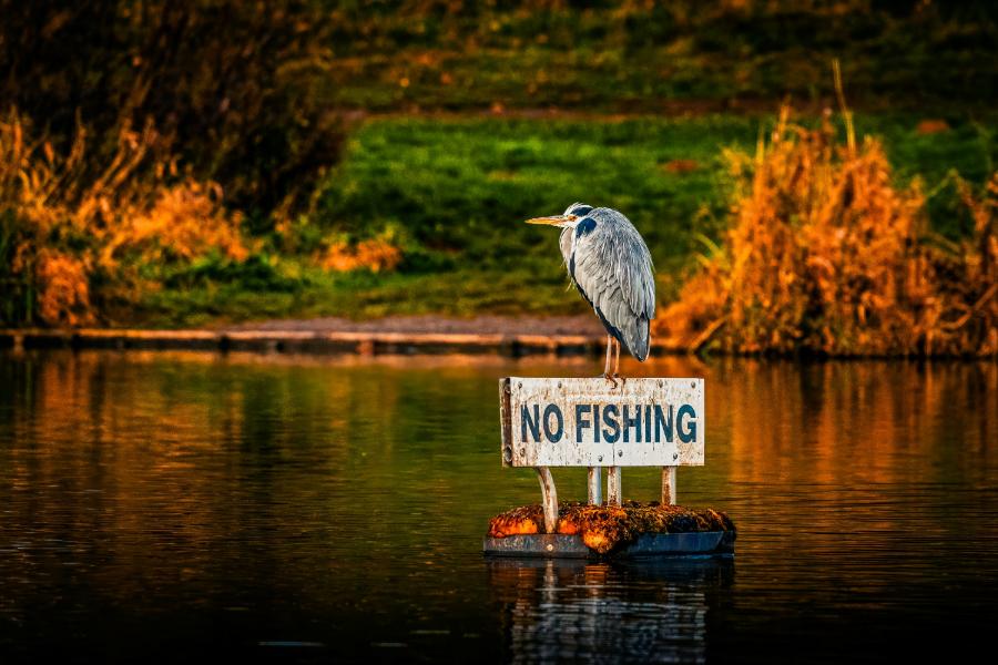 No Fishing